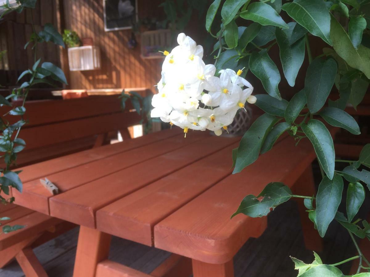 Pokoje Goscinne U Grazyny Ojcow Exterior foto
