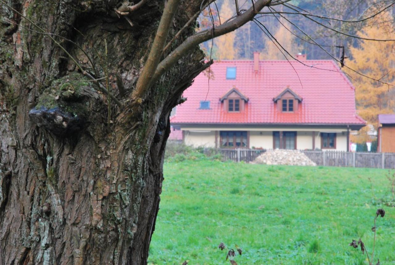 Pokoje Goscinne U Grazyny Ojcow Exterior foto