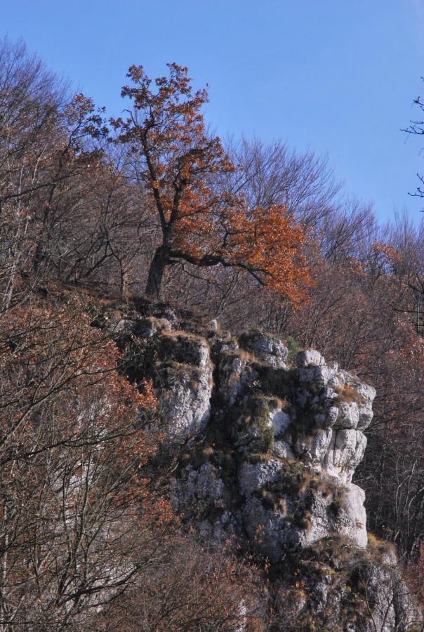 Pokoje Goscinne U Grazyny Ojcow Exterior foto
