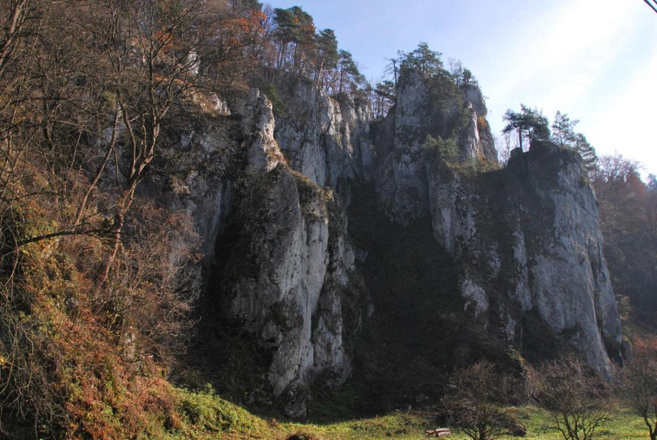 Pokoje Goscinne U Grazyny Ojcow Exterior foto